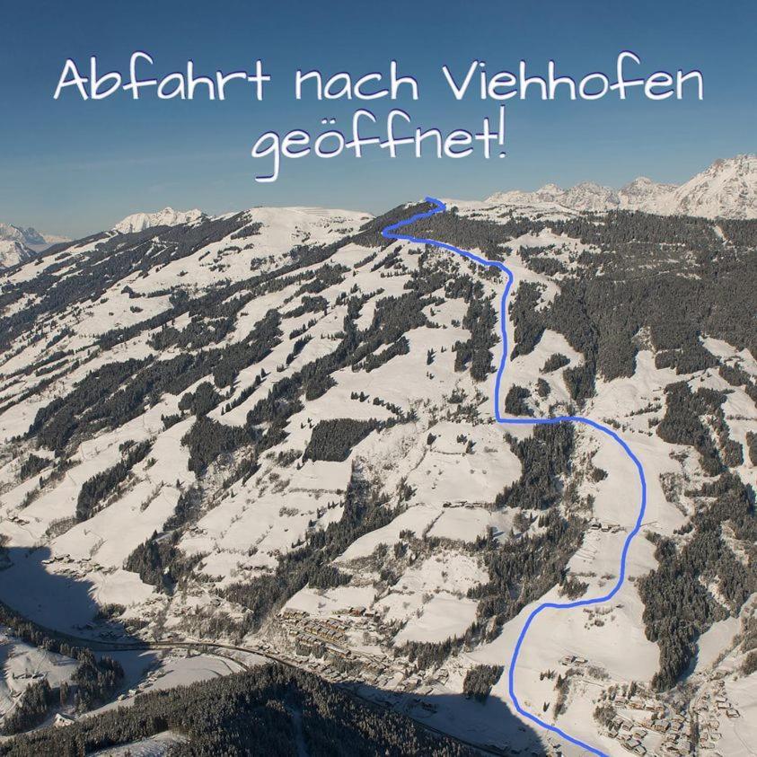 Alpen Appartements Viehhofen - Incl Sommercard Zell Am See Viehhofen Dış mekan fotoğraf