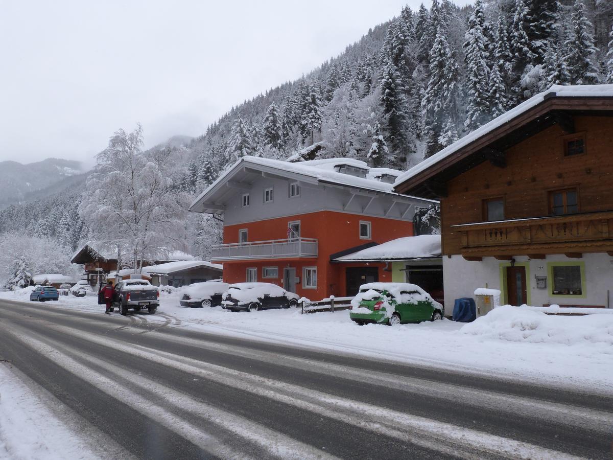 Alpen Appartements Viehhofen - Incl Sommercard Zell Am See Viehhofen Dış mekan fotoğraf