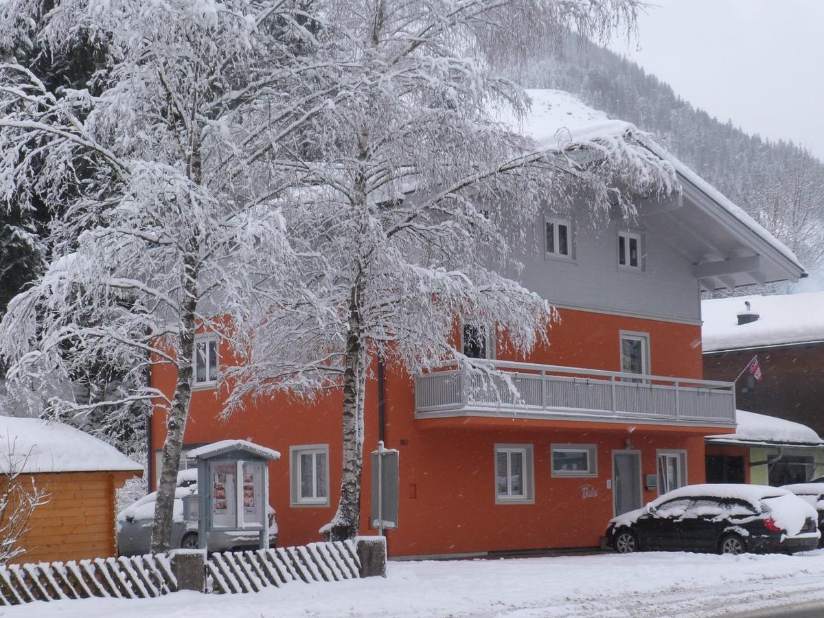 Alpen Appartements Viehhofen - Incl Sommercard Zell Am See Viehhofen Dış mekan fotoğraf