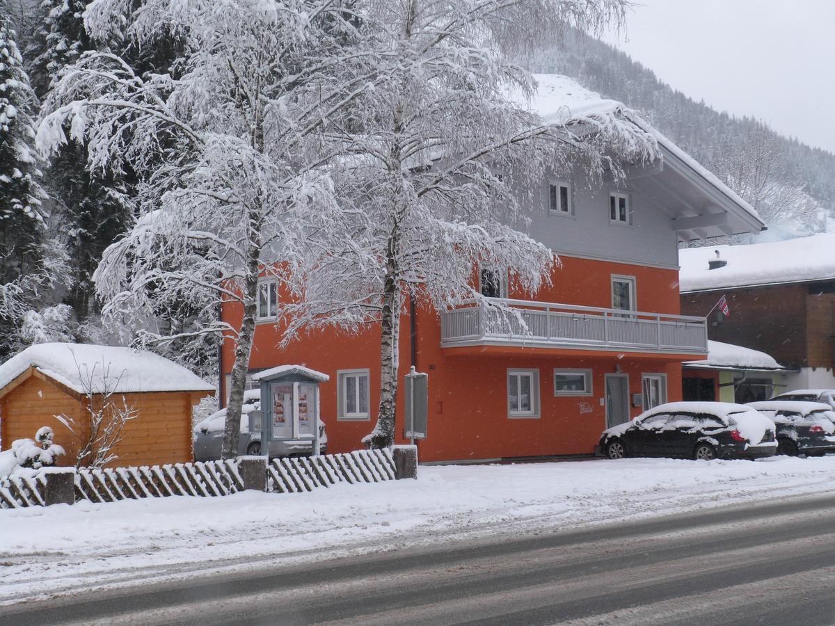 Alpen Appartements Viehhofen - Incl Sommercard Zell Am See Viehhofen Dış mekan fotoğraf